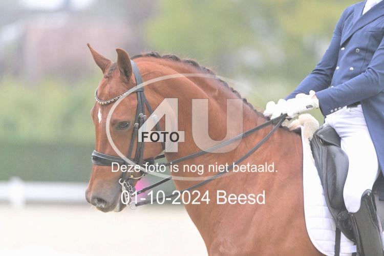 241001 1509