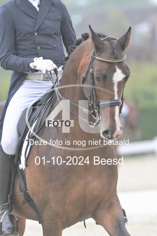 241001 1554