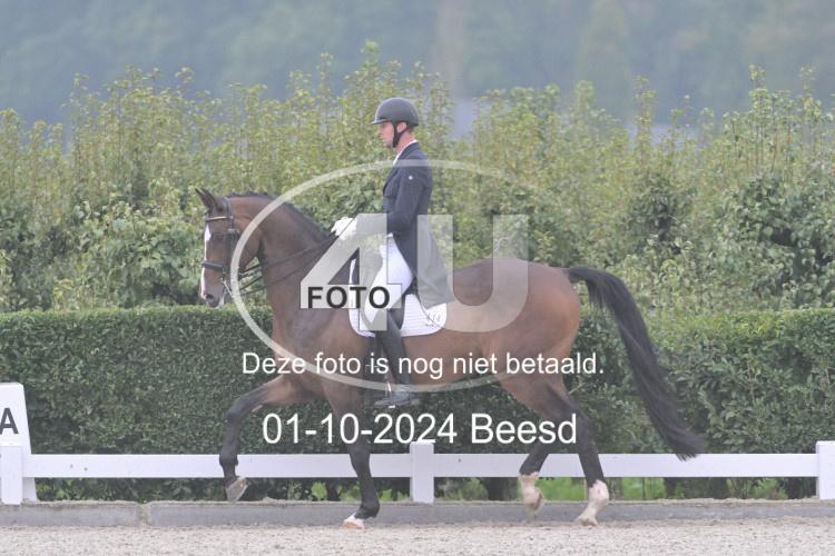 241001 1558