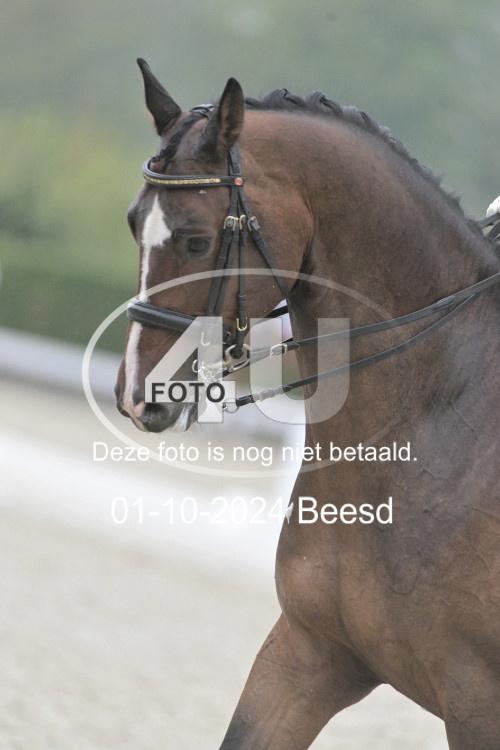 241001 1596