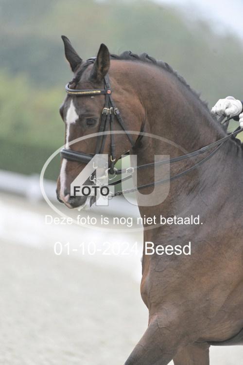241001 1597