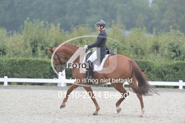 241001 1731