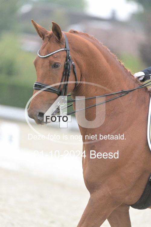 241001 1754
