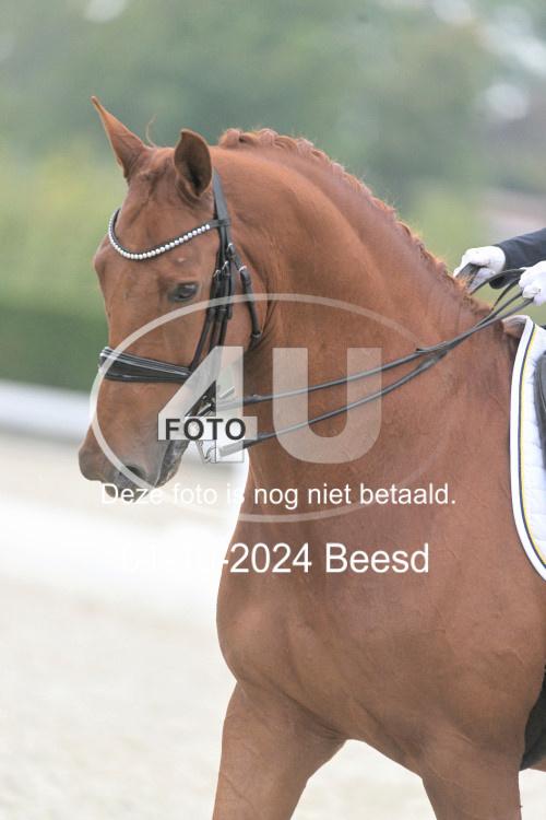 241001 1755