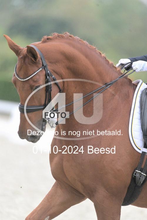 241001 1756
