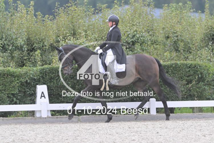 241001 1987