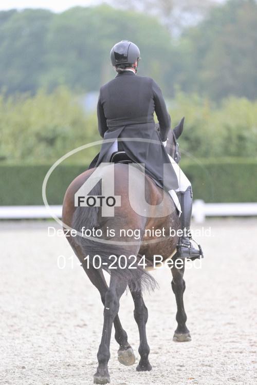 241001 2049