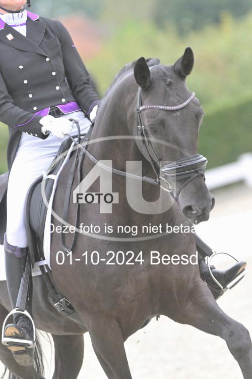 241001 2074