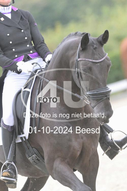 241001 2075