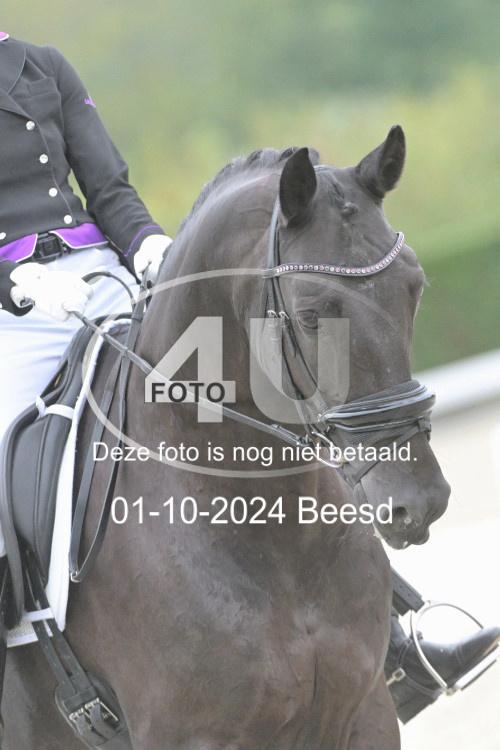 241001 2076