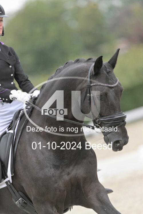 241001 2114