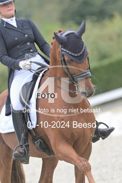 241001 2159