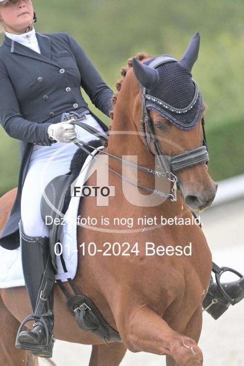 241001 2161