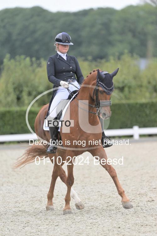 241001 2169