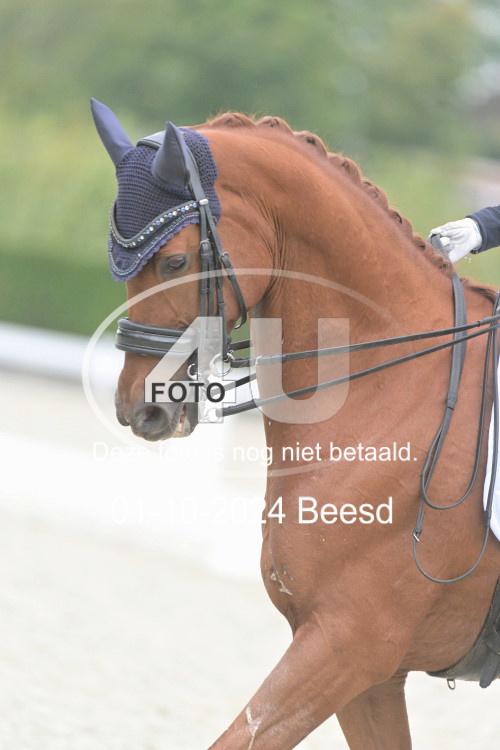 241001 2195