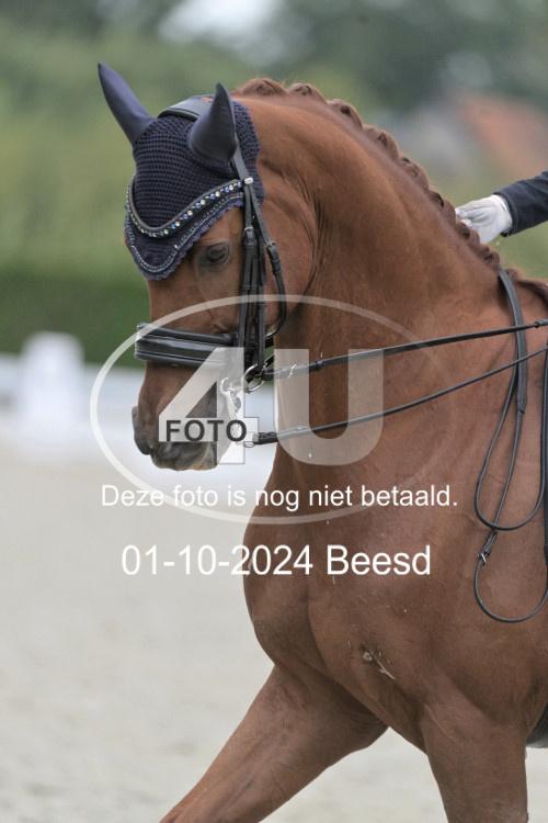 241001 2197