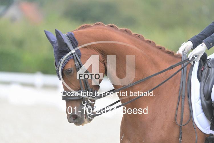 241001 2199