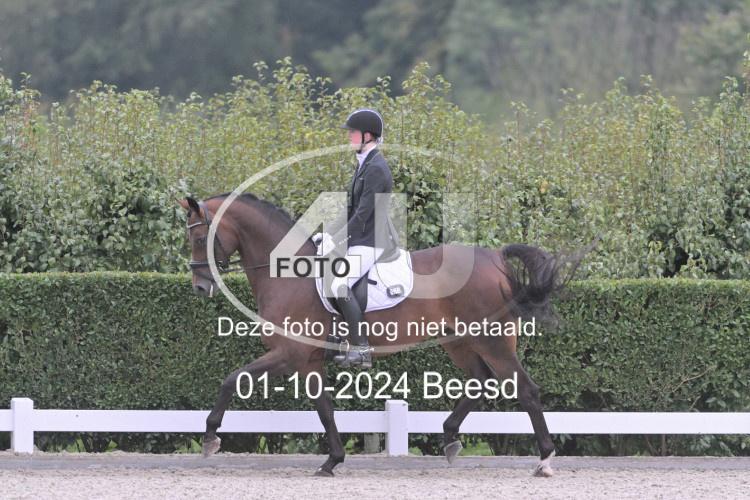 241001 2281