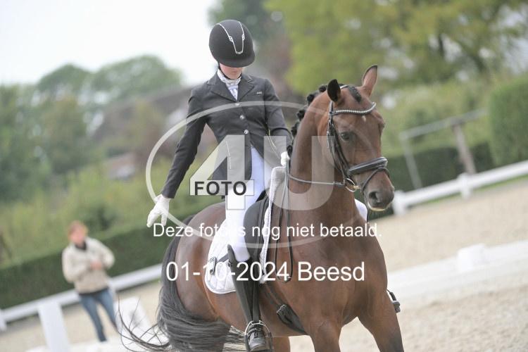 241001 2331