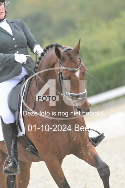 241001 2360