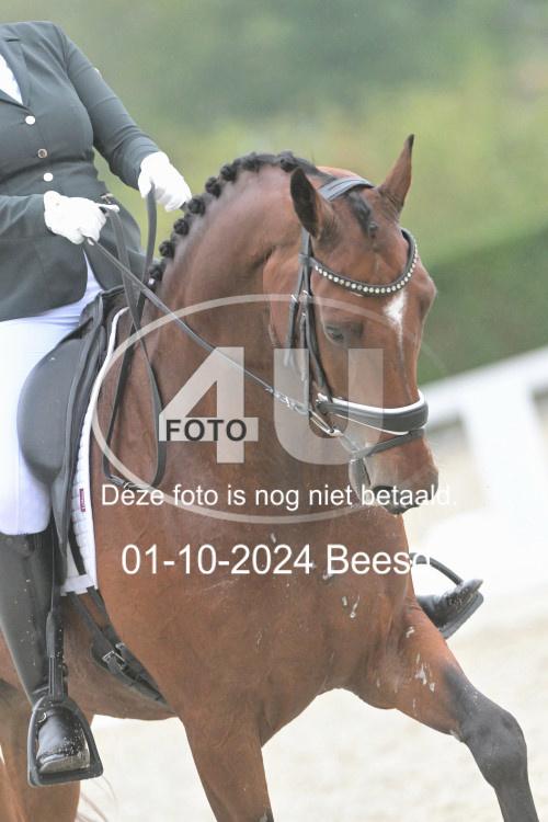 241001 2361