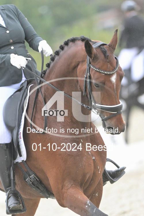 241001 2362