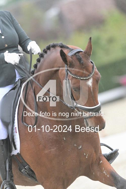 241001 2363