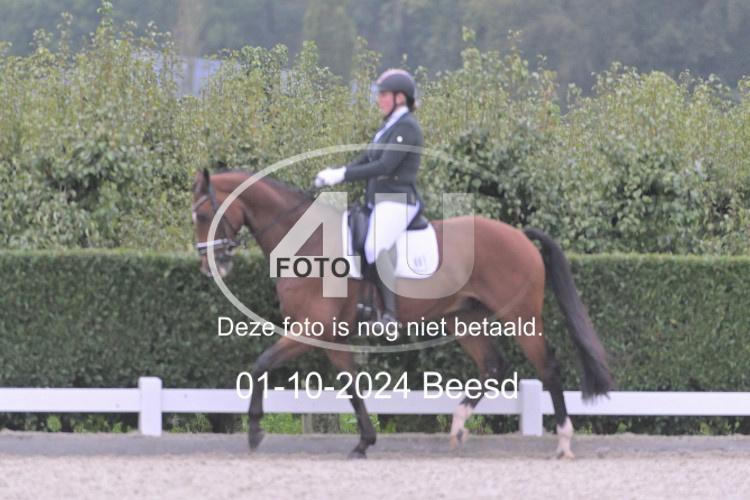 241001 2375
