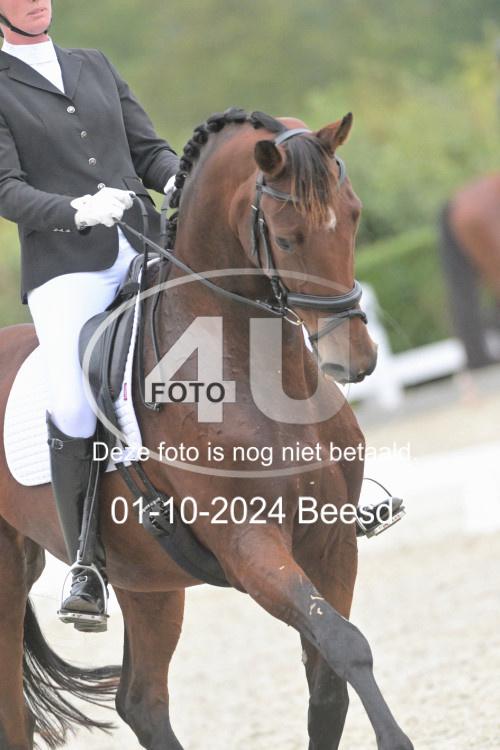 241001 2446