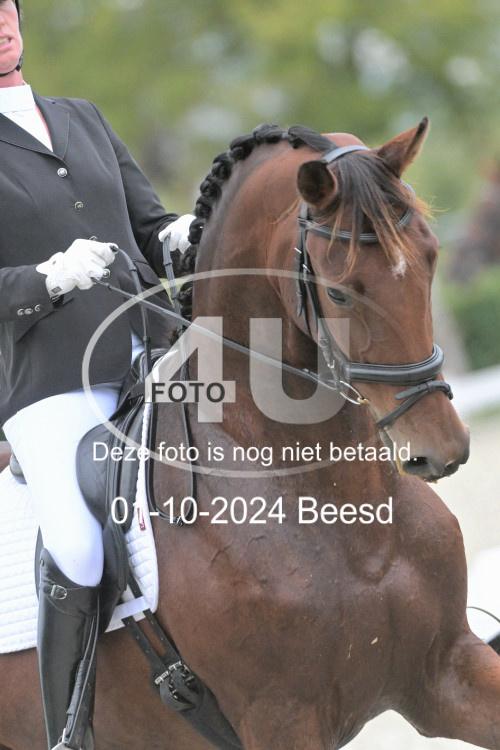 241001 2450