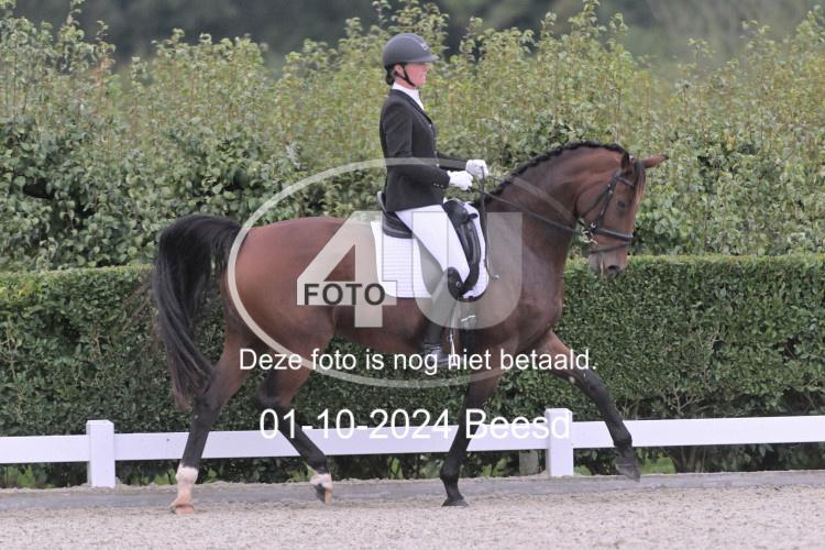 241001 2453