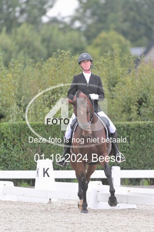 241001 2455