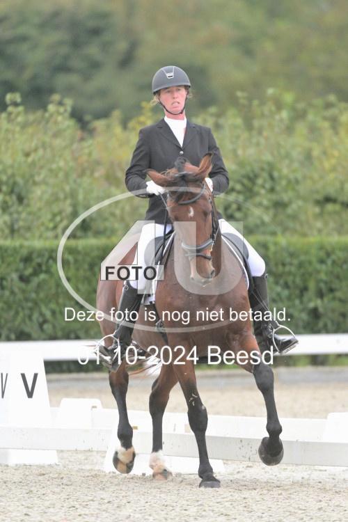 241001 2460