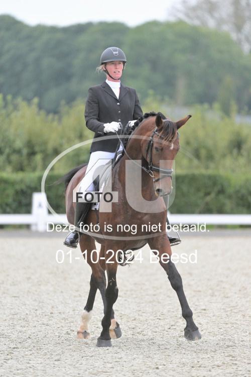 241001 2481