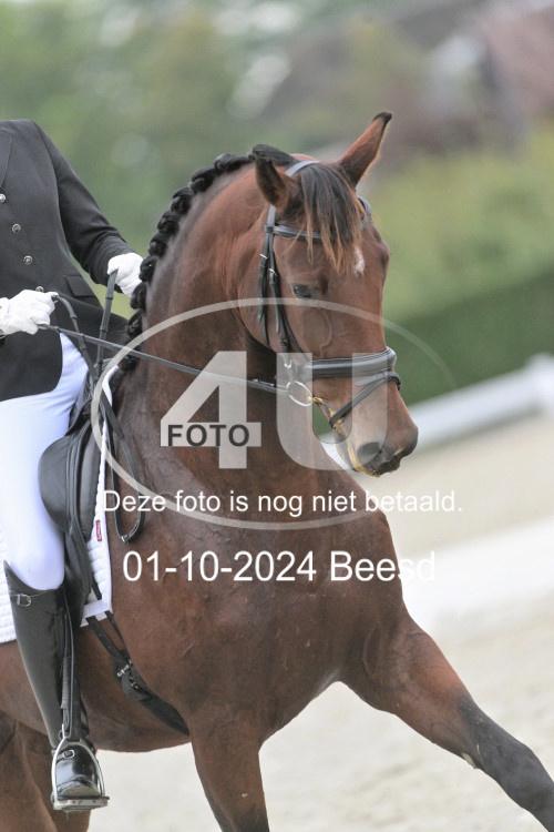 241001 2485
