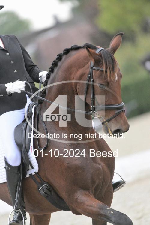 241001 2486