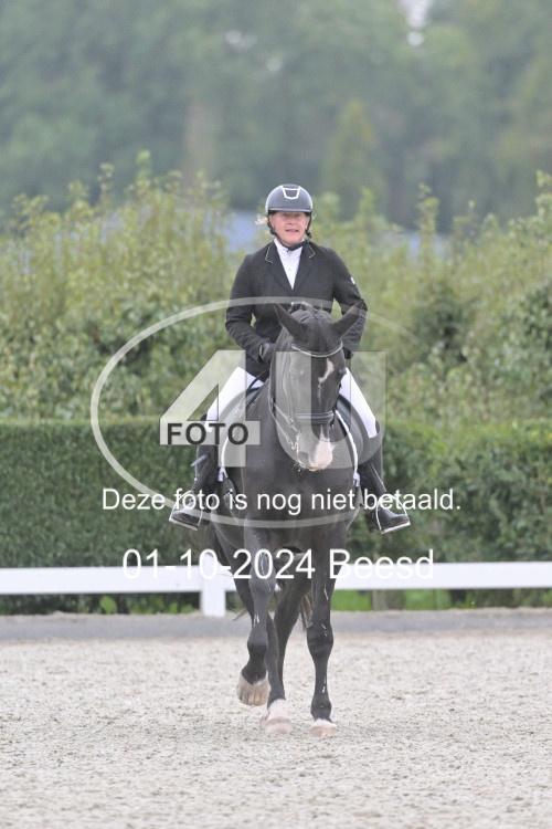 241001 2519