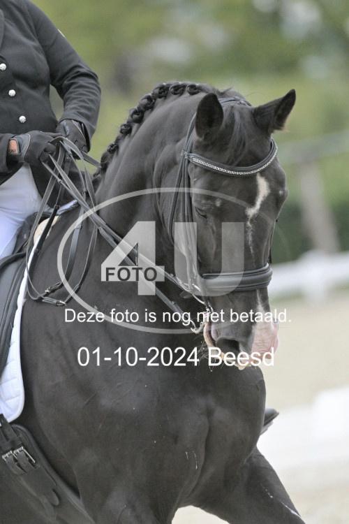241001 2532