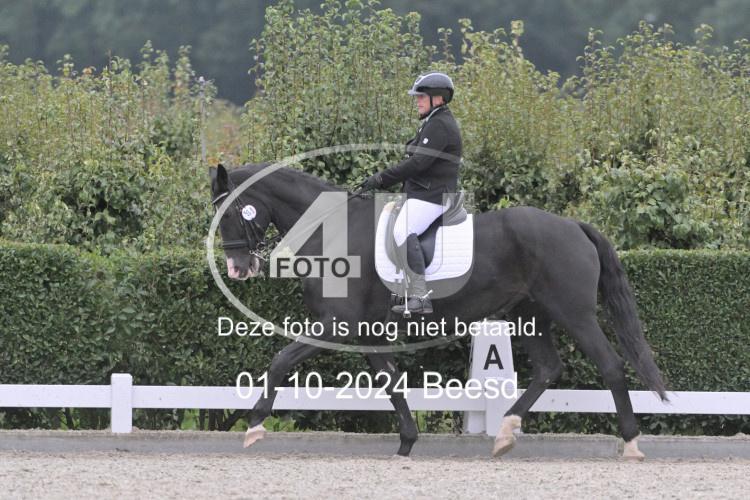 241001 2555