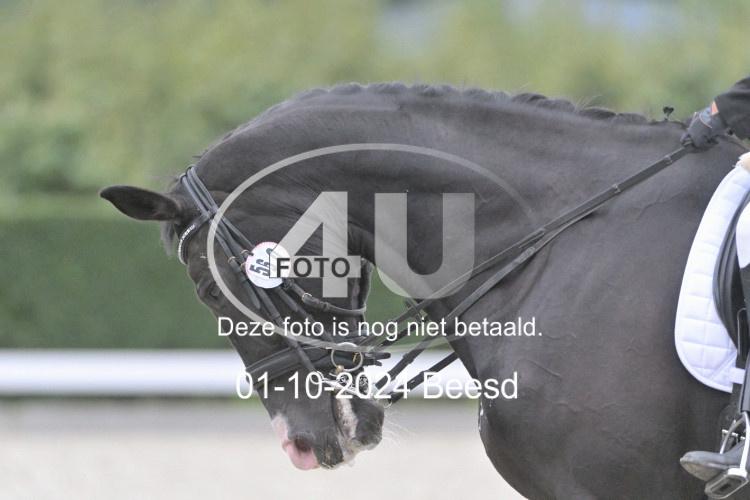 241001 2574