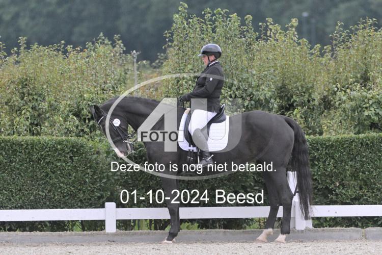 241001 2591