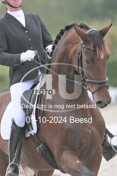 241001 2624