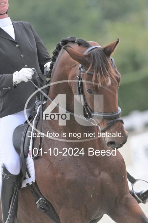 241001 2625