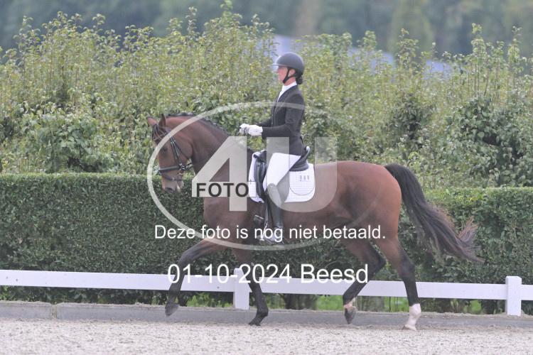 241001 2629