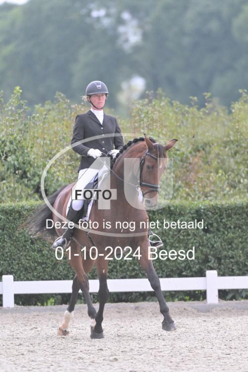 241001 2633