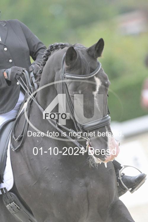 241001 2677