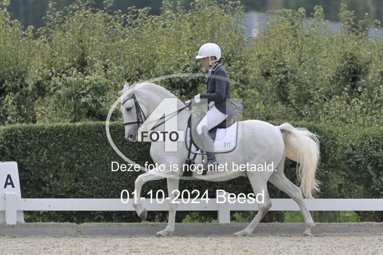 241001 2748