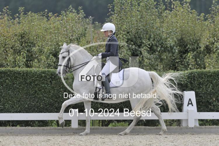 241001 2749