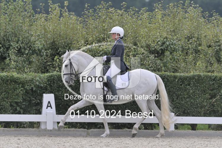 241001 2768