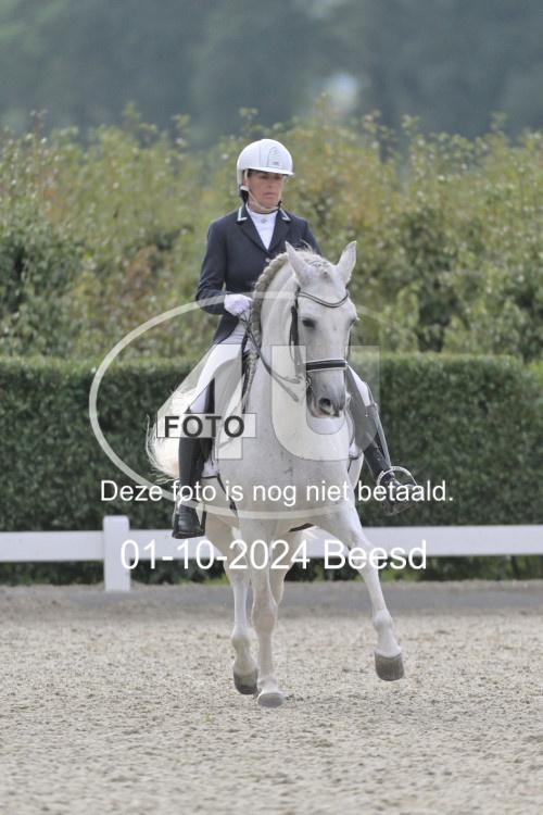 241001 2774